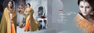Graceful and Stylish Sarees/Sari